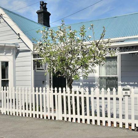 In Dunedin'S Heart, Full House, Full Sun, Full Chill, Why Stay At A Hotel When You Can Afford An Entire House Exteriér fotografie