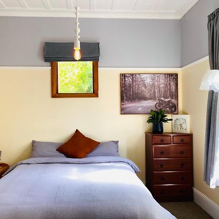 In Dunedin'S Heart, Full House, Full Sun, Full Chill, Why Stay At A Hotel When You Can Afford An Entire House Exteriér fotografie
