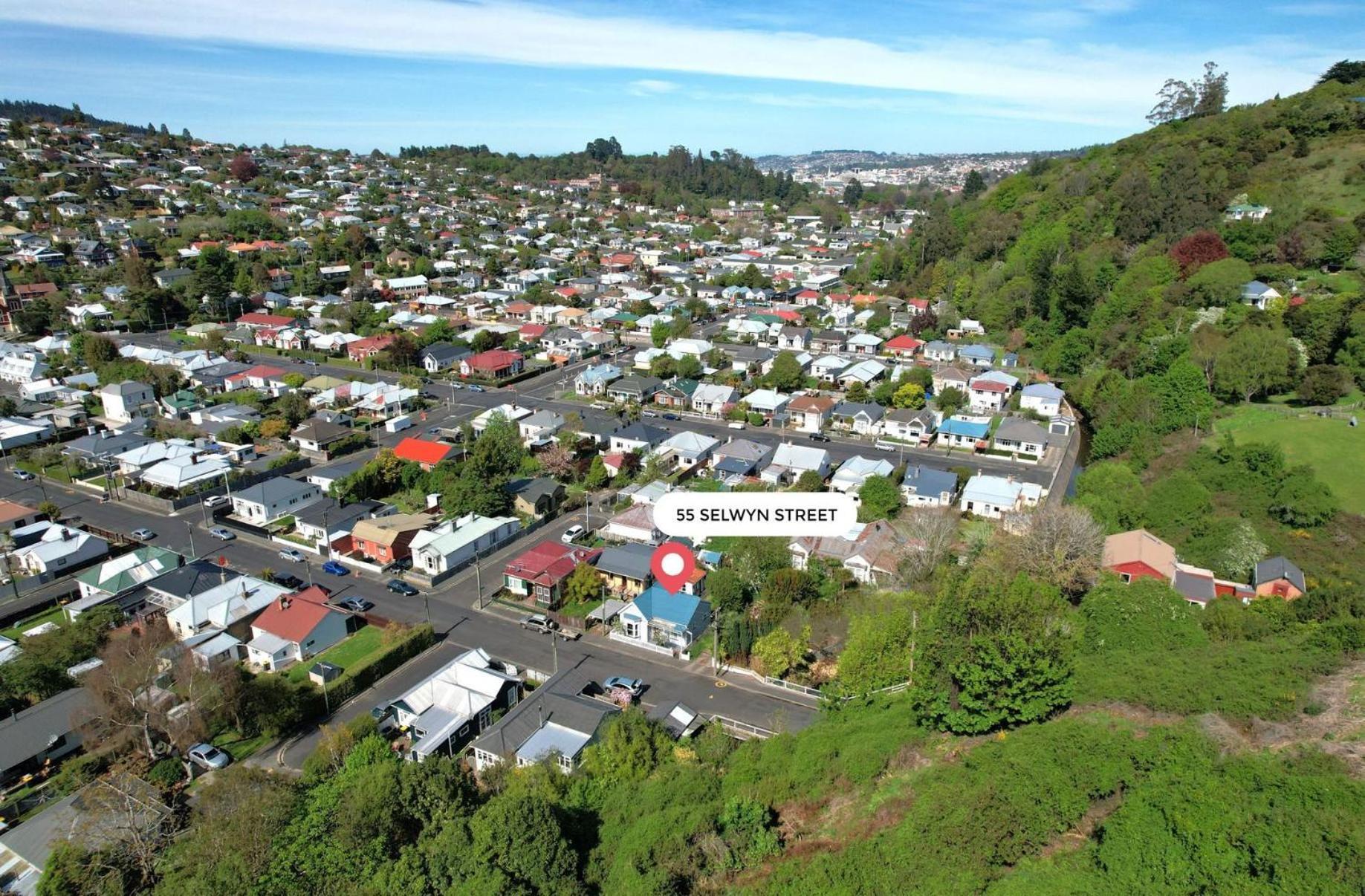 In Dunedin'S Heart, Full House, Full Sun, Full Chill, Why Stay At A Hotel When You Can Afford An Entire House Exteriér fotografie