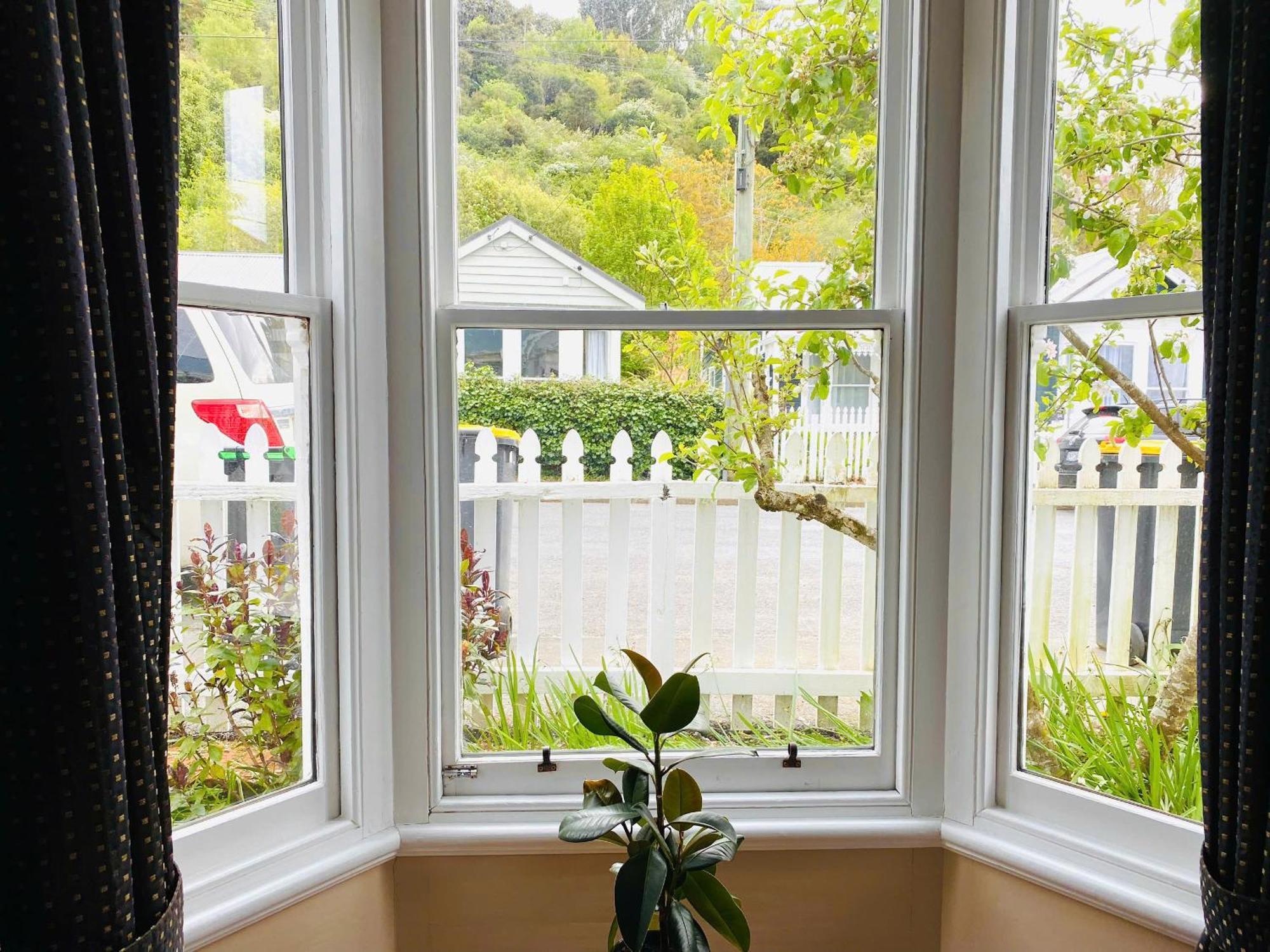 In Dunedin'S Heart, Full House, Full Sun, Full Chill, Why Stay At A Hotel When You Can Afford An Entire House Exteriér fotografie