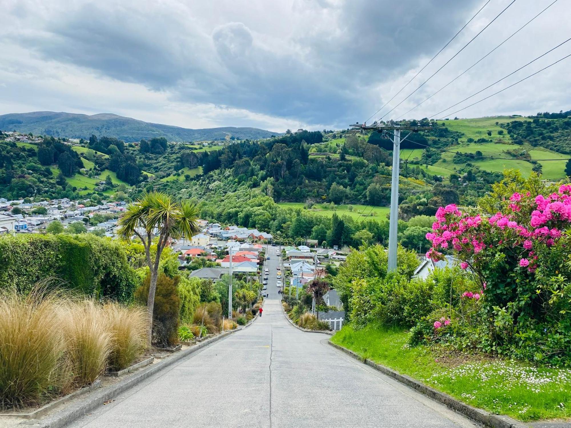 In Dunedin'S Heart, Full House, Full Sun, Full Chill, Why Stay At A Hotel When You Can Afford An Entire House Exteriér fotografie